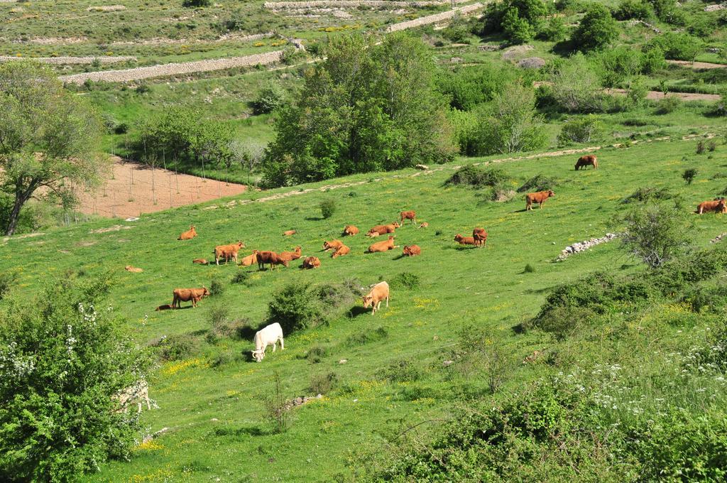 Casa Rural El Boixar - El Mirador Bojar Kültér fotó